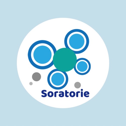 soratorie_drone_school